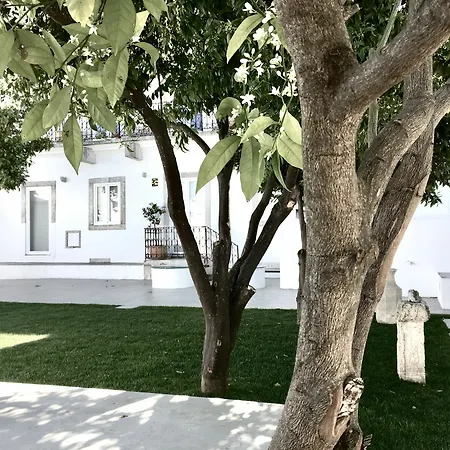 Dona Graca Appartement *